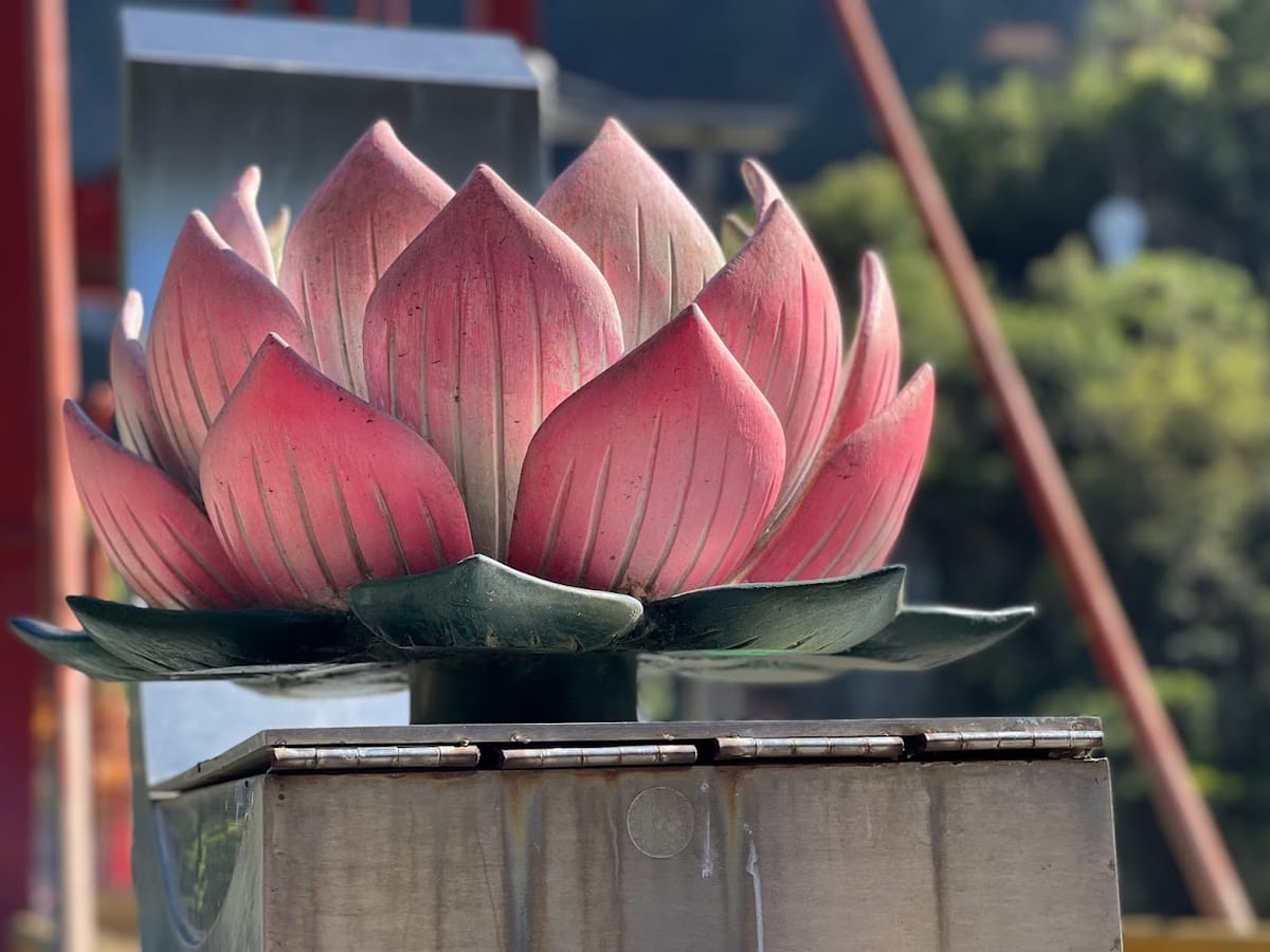 Every Life is Already Buddha - An Exploration