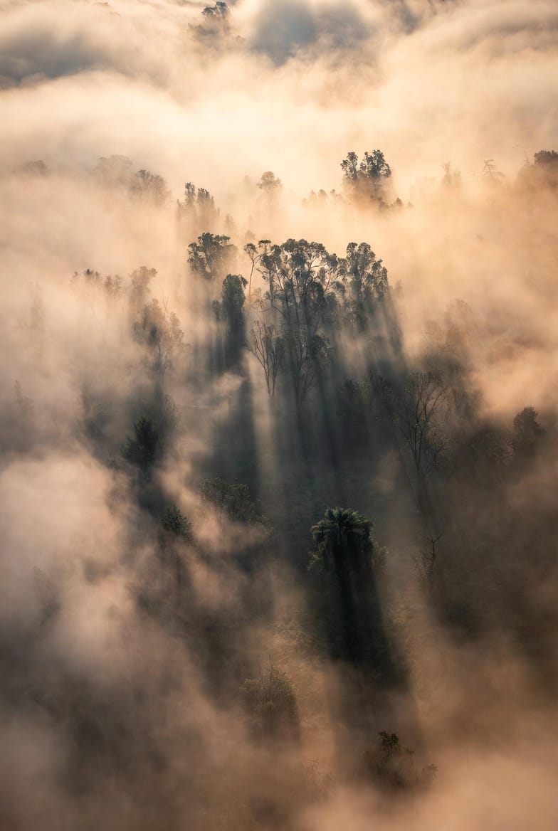 No-I Is the Best Meditation